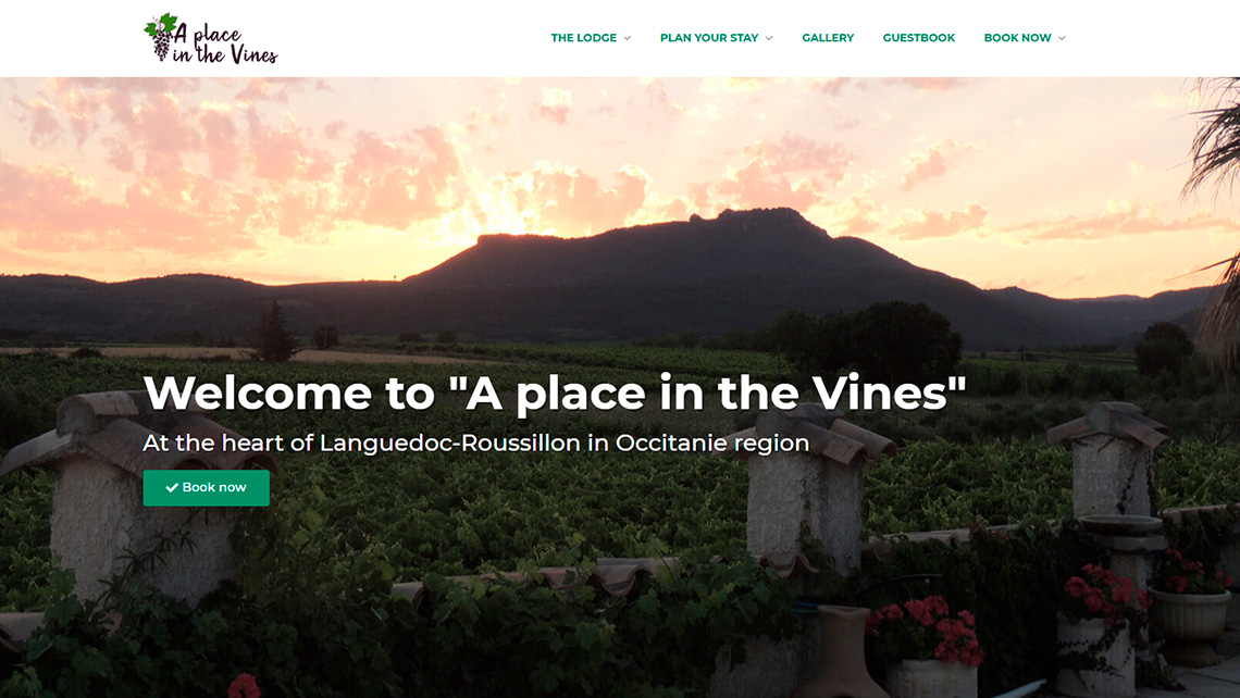 Projet : A Place in the Vines 1